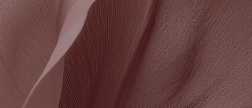Explore the collection — Bint Saeed Abu Dhabi Explore the Bint Saeed collection — editorial fabric texture background for luxury abayas. Bint Saeed Abu Dhabi, United Arab Emirates.