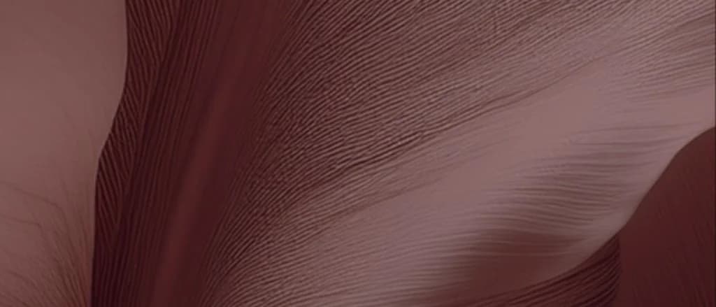 Personalisation editorial banner. Bint Saeed Abu Dhabi, United Arab Emirates.